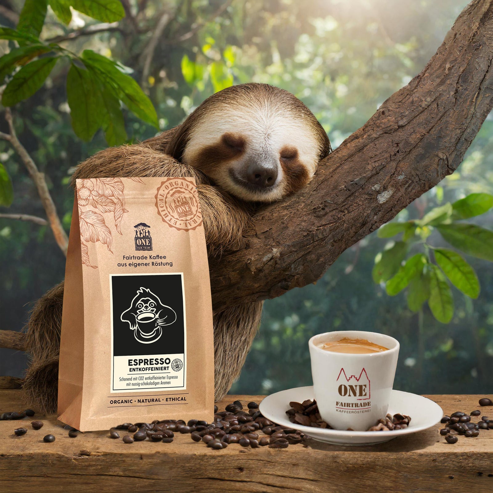 Espresso entkoffeiniert Tüte mit fairtrade Espressobohnen entkoffeiniert und Faultier als Dekoration. Der Hintergrund ist verschwommener Urwald.