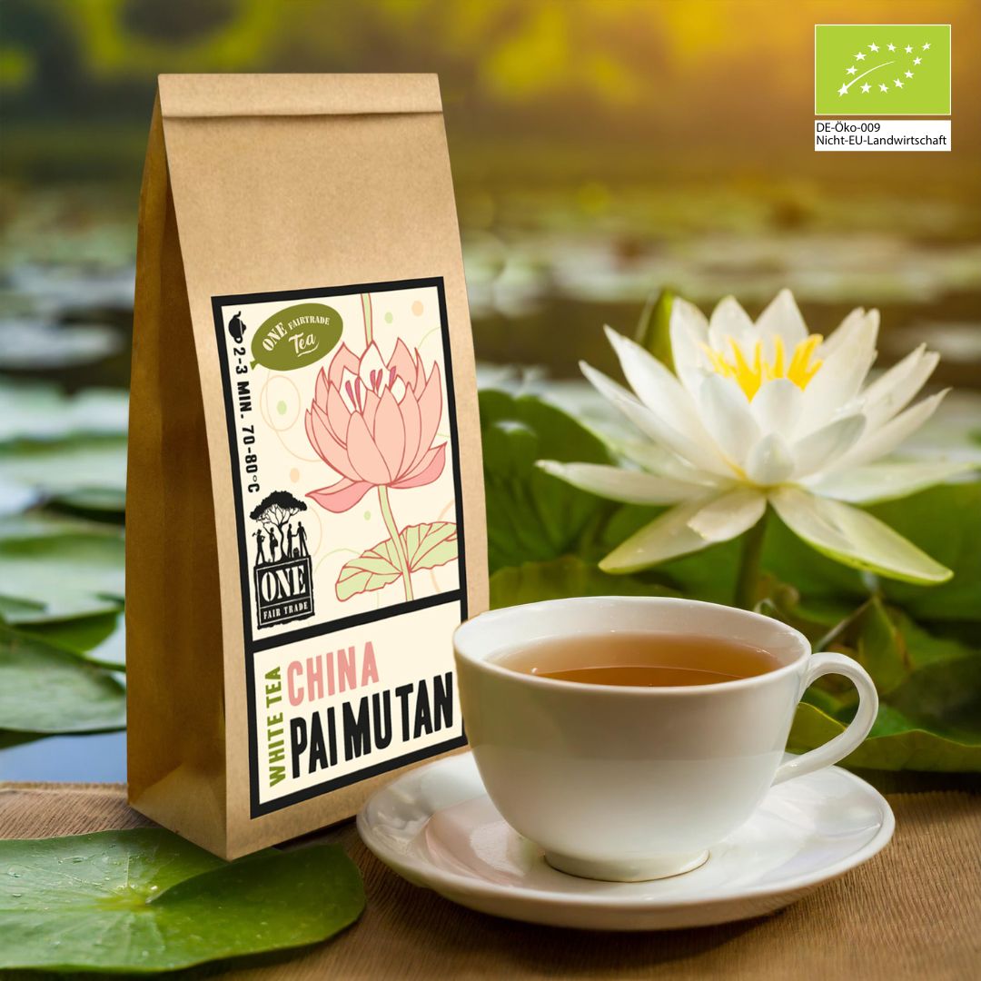 China Paimutan Bio-Fairtrade Weißer Tee – milder weißer Tee mit feinem Aroma