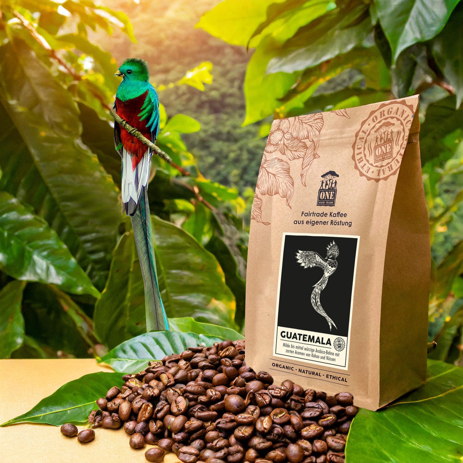 Guatemala Kaffee Tüte mit fairtrade Kaffeebohnen und Papagei als Dekoration. Der Hintergrund ist verschwommener Urwald.
