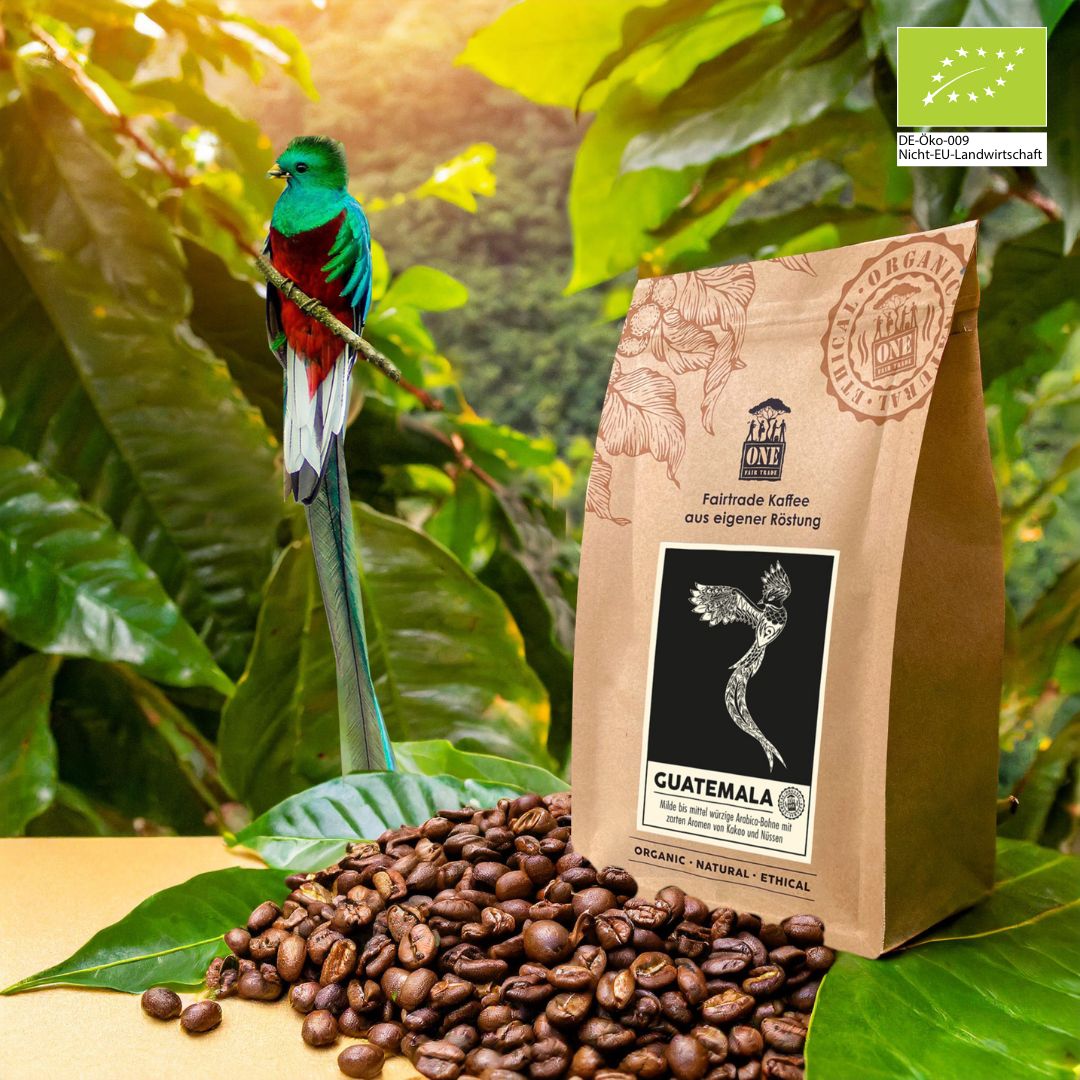 Guatemala Bio-Fairtrade Kaffeebohnen – mittel-kräftiger Hochlandkaffee mit zarten Aromen von Kakao und Nüssen