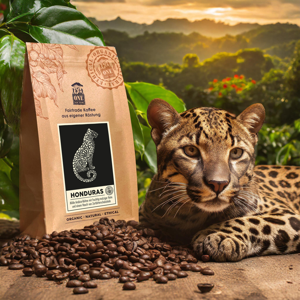 Honduras Kaffee Tüte mit fairtrade Kaffeebohnen und Leopard als Dekoration. Der Hintergrund sind verschwommene Wälder.