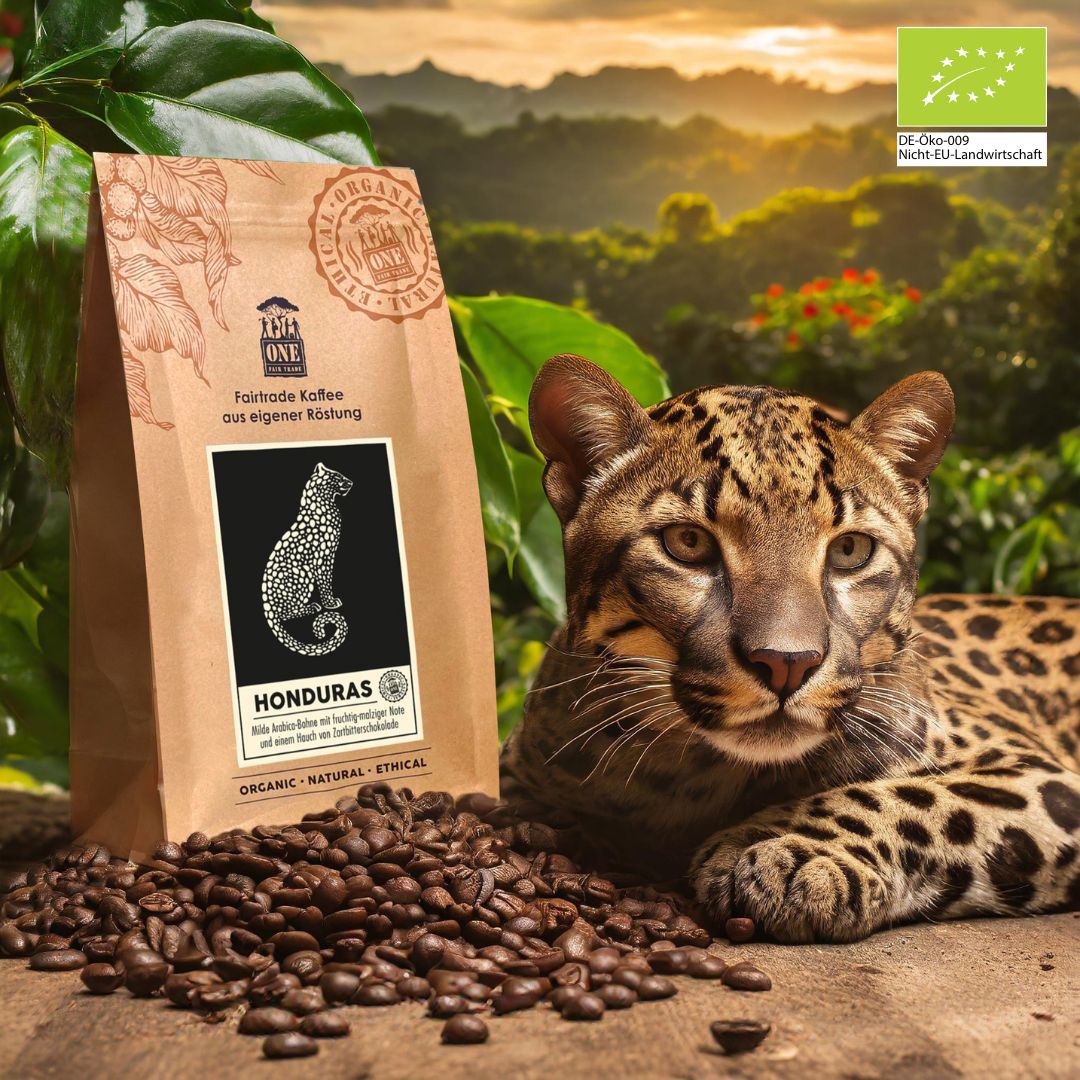 Honduras Bio-Fairtrade Kaffeebohnen – vollmundiger Kaffee mit fruchtig-malziger Note und einem Hauch von Zartbitterschokolade.